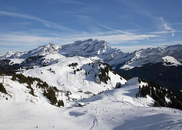 Opale 34 By Interhome * Villars-sur-Ollon