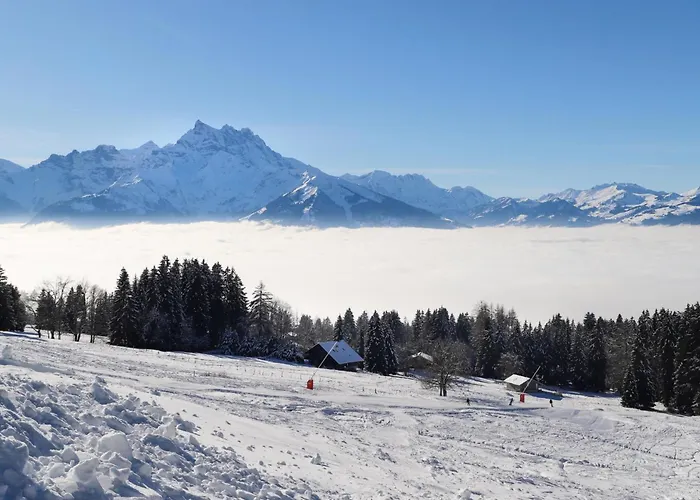 Opale 34 By Interhome Villars-sur-Ollon